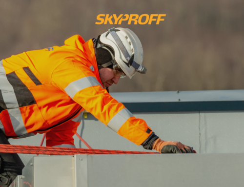 Ämblikud kortermajas – häiriv ja kasvav probleem